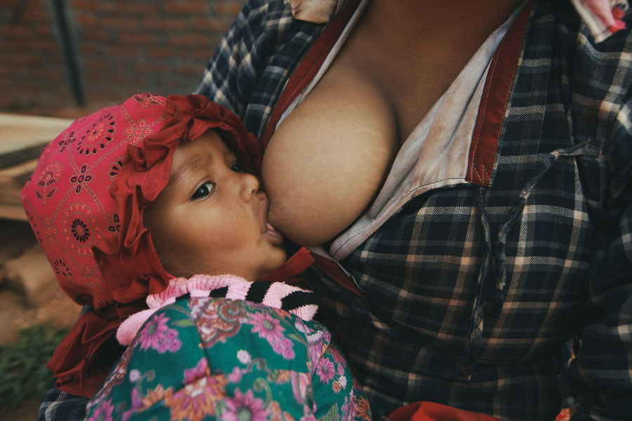 Tisane d'allaitement : laquelle choisir pour la lactation | Petit Murmure
